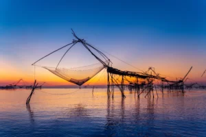 Khám Phá Miền Tây Sông Nước: Mỹ Tho – Bến Tre – Cần Thơ