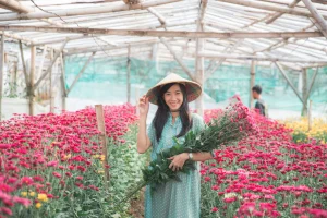 Tour Đà Lạt: Thiên Đường Sương Mù & Săn Mây Đại Ngàn